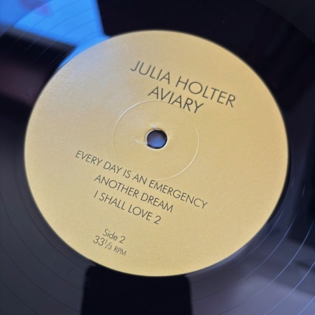 Julia Holter - Aviary (0887828041718) виниловая пластинка - фото 6