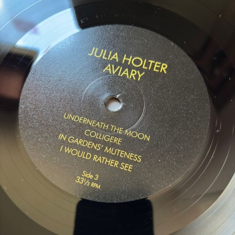 Julia Holter - Aviary (0887828041718) виниловая пластинка - фото 7