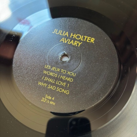 Julia Holter - Aviary (0887828041718) виниловая пластинка - фото 8