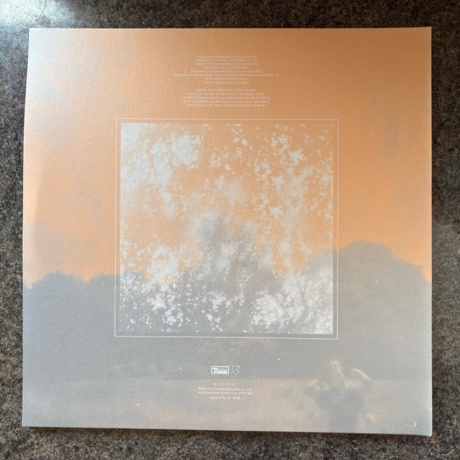 Julia Holter - Ekstasis (5034202029717) виниловая пластинка - фото 2