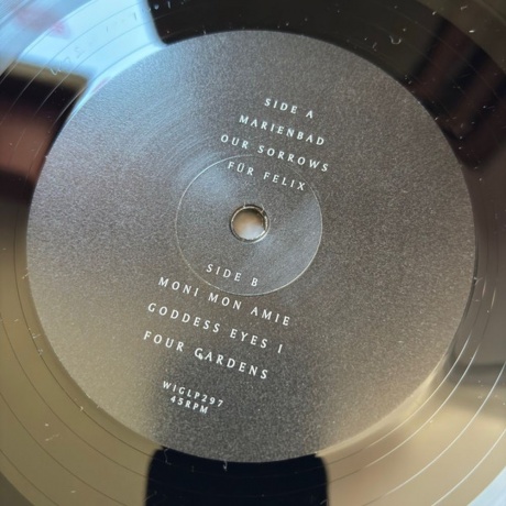 Julia Holter - Ekstasis (5034202029717) виниловая пластинка - фото 4