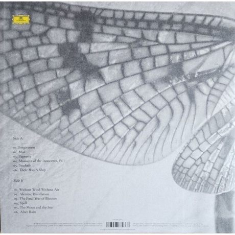 Roger Eno - Without Wind, Without Air (0028948674367) виниловая пластинка - фото 2