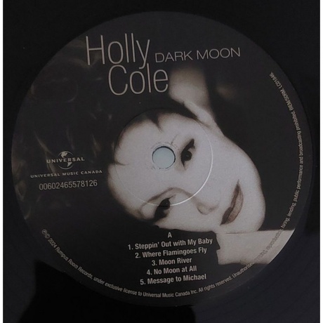 Holly Cole - Dark Moon (0602465578126) виниловая пластинка - фото 5