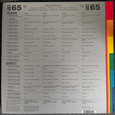 Branislave Zivkovic &amp; Andre Tschaskowski - Emotionally (4251804128094) виниловая пластинка - фото 2