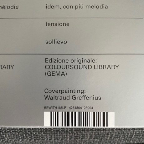 Branislave Zivkovic &amp; Andre Tschaskowski - Emotionally (4251804128094) виниловая пластинка - фото 3