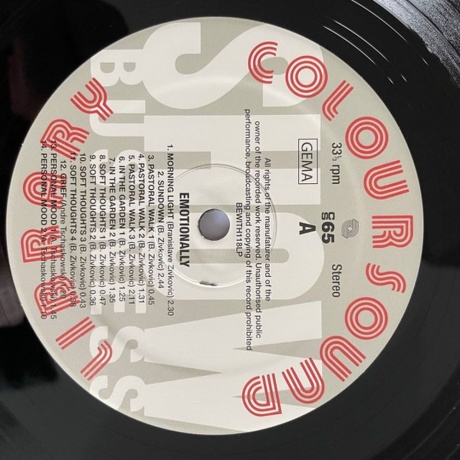 Branislave Zivkovic &amp; Andre Tschaskowski - Emotionally (4251804128094) виниловая пластинка - фото 4