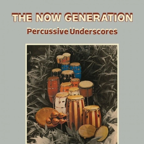 Peter Ludemann & Pit Troja - The Now Generation: Percussive Unde...
