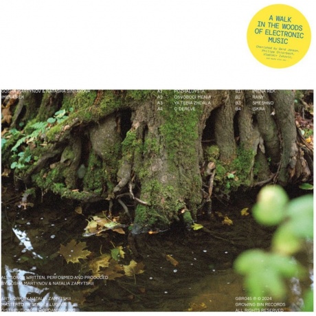 

Gosha Martynov & Natasha Sinyakova - Imena Rek (4251804182768) виниловая пластинка