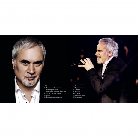 Валерий Меладзе - Лучшие песни 2 (4603320377782) - фото 3