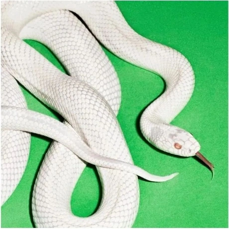 Deftones - Private Music (0093624829034) виниловая пластинка