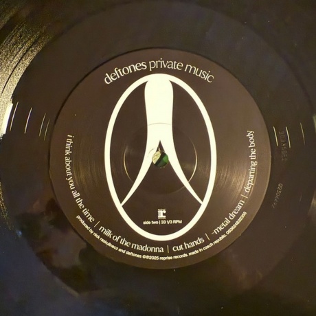 Deftones - Private Music (0093624829034) виниловая пластинка - фото 5