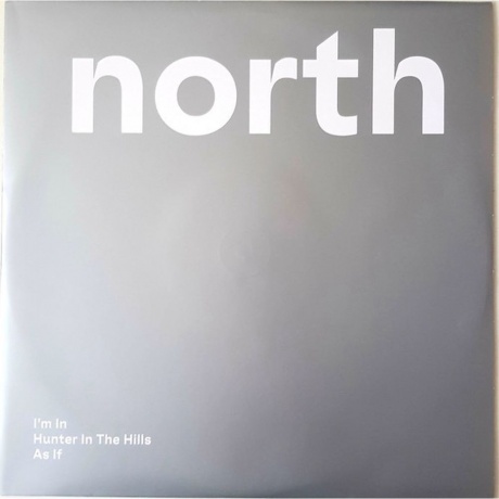 A-HA - True North - deluxe (0196587163310) виниловая пластинка - фото 2