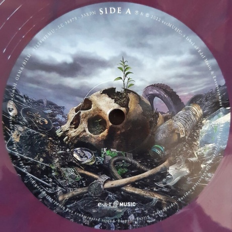 Stratovarius - Survive (coloured) (4029759178668) виниловая пластинка - фото 7