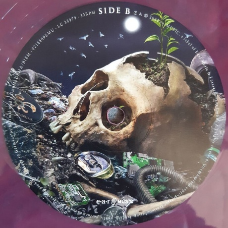 Stratovarius - Survive (coloured) (4029759178668) виниловая пластинка - фото 8