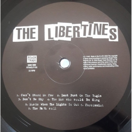 The Libertines - The Libertines (0883870016612) виниловая пластинка - фото 2