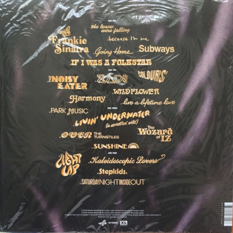 The Avalanches - Wildflower (0634904075507) виниловая пластинка - фото 2