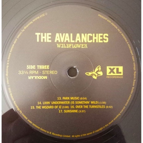 The Avalanches - Wildflower (0634904075507) виниловая пластинка - фото 5