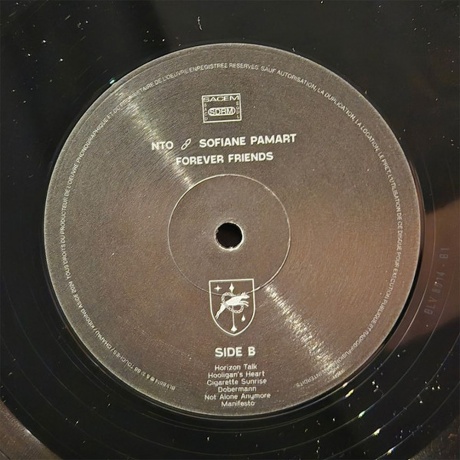 Nto &amp; Sofiane Pamart - Forever Friends (3700187685140) виниловая пластинка - фото 3