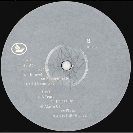 Bjork - Homogenic (5016958032913) виниловая пластинка - фото 4