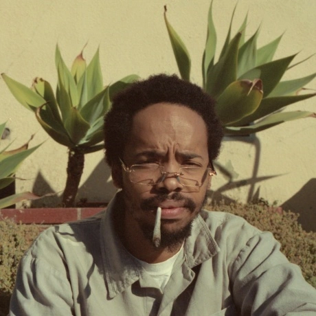 Earl Sweatshirt - Live Laugh Love (0093624828617) виниловая плас...
