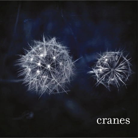 Cranes - Cranes (coloured) (8719262040748) виниловая пластинка