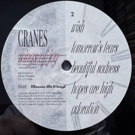 Cranes - Wings Of Joy (8719262042483) виниловая пластинка - фото 4