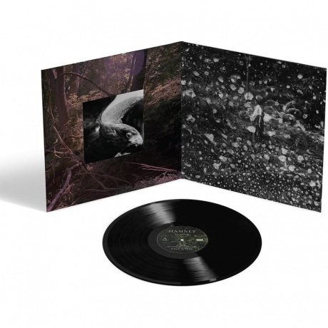 OST - Hamnet (Max Richter) (0602478929199) виниловая пластинка - фото 4