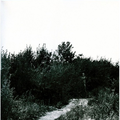 Аквариум - Радио Африка (Авторский Вариант) (7290016879254) виниловая пластинка - фото 3