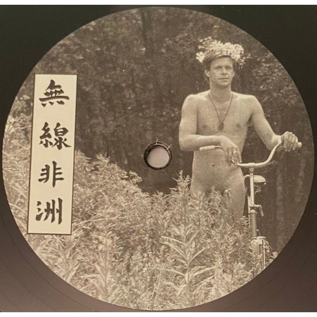 Аквариум - Радио Африка (Авторский Вариант) (7290016879254) виниловая пластинка - фото 6