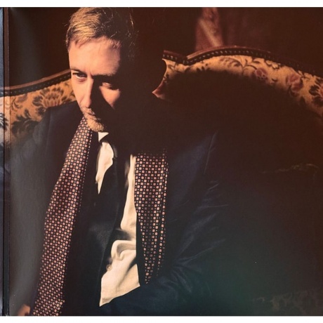 The Divine Comedy - Rainy Sunday Afternoon (5063176075918) виниловая пластинка - фото 2