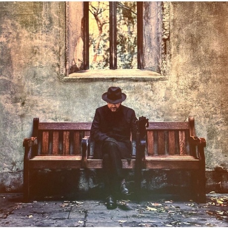 The Divine Comedy - Rainy Sunday Afternoon (5063176075918) виниловая пластинка - фото 3