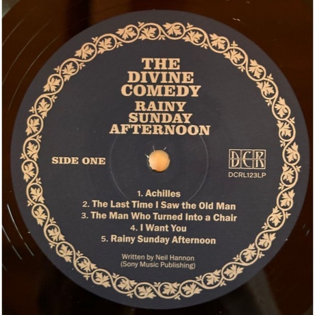 The Divine Comedy - Rainy Sunday Afternoon (5063176075918) виниловая пластинка - фото 5