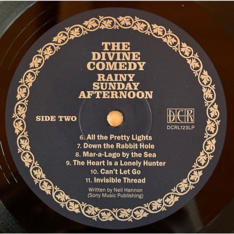 The Divine Comedy - Rainy Sunday Afternoon (5063176075918) виниловая пластинка - фото 6