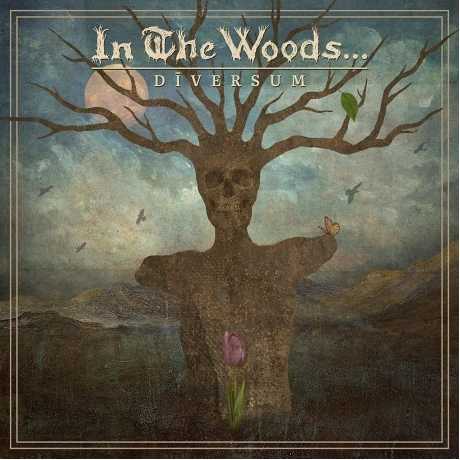 In The Woods - Diversum (3663663010631) виниловая пластинка
