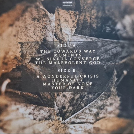 In The Woods - Diversum (3663663010631) виниловая пластинка - фото 2