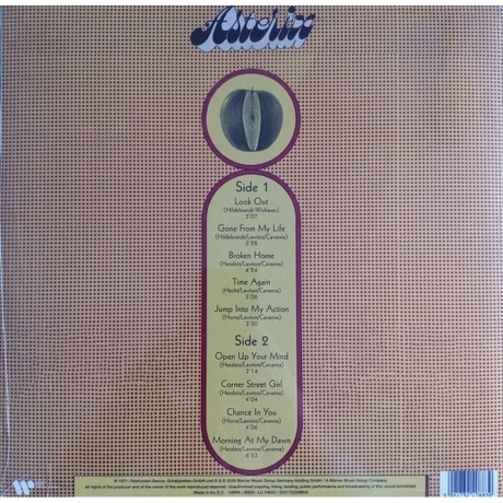 Asterix - Asterix (5021732408839) виниловая пластинка - фото 2