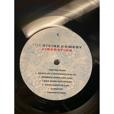 The Divine Comedy - Liberation (5024545889918) виниловая пластинка - фото 2
