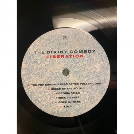 The Divine Comedy - Liberation (5024545889918) виниловая пластинка - фото 3