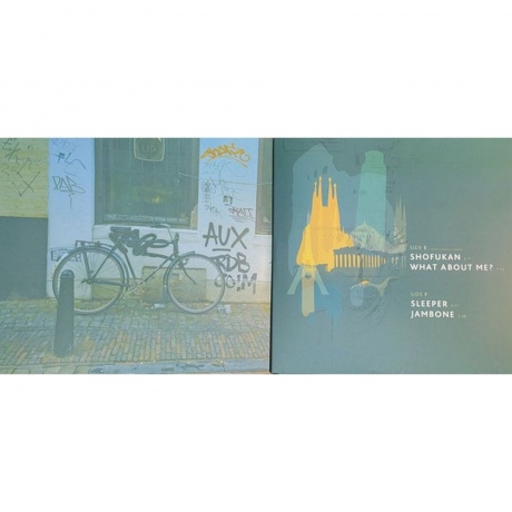 Snarky Puppy - We Like It Here (0199350639166) виниловая пластинка - фото 4