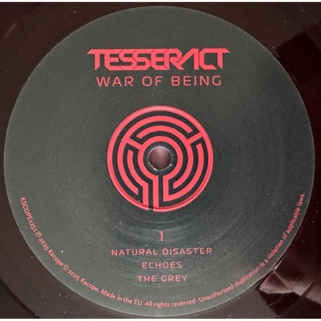 Tesseract - War Of Being (coloured) (0802644825113) виниловая пластинка - фото 6