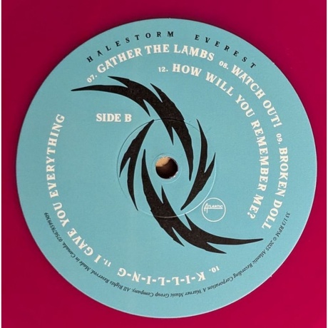 Halestorm - Everest (coloured) (0075678599309) виниловая пластинка - фото 5