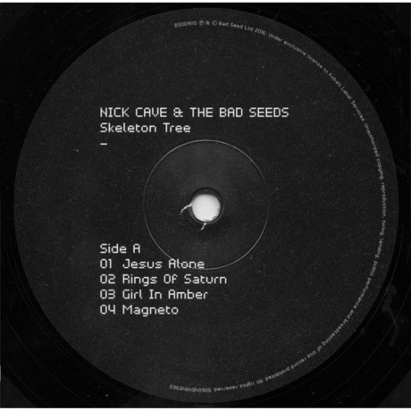 Nick Cave - Skeleton Tree (5060454945963) виниловая пластинка - фото 4