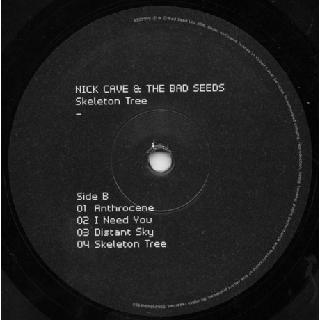 Nick Cave - Skeleton Tree (5060454945963) виниловая пластинка - фото 5