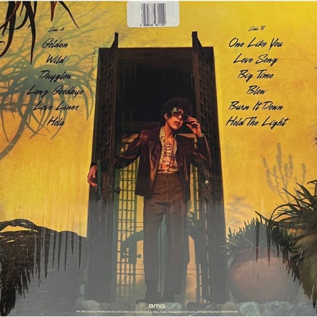 LP - Love Lines (coloured) (4050538931129) виниловая пластинка - фото 4