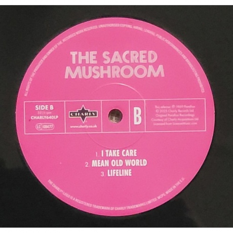 The Sacred Mushroom - The Sacred Mushroom (5060767444573) виниловая пластинка - фото 3
