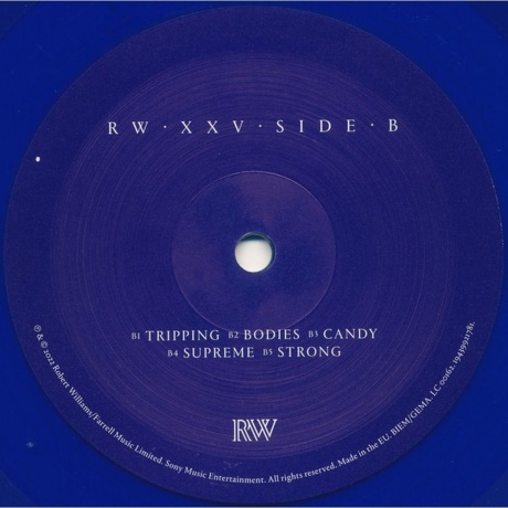 Robbie Williams - XXV (coloured) (0194399218518) виниловая пластинка - фото 4