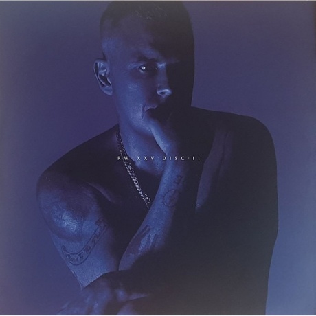 Robbie Williams - XXV (coloured) (0194399218518) виниловая пластинка - фото 8