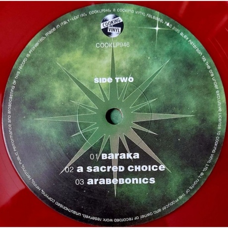 The Orb - Buddhist Hipsters (coloured) (0711297924688) виниловая пластинка - фото 5