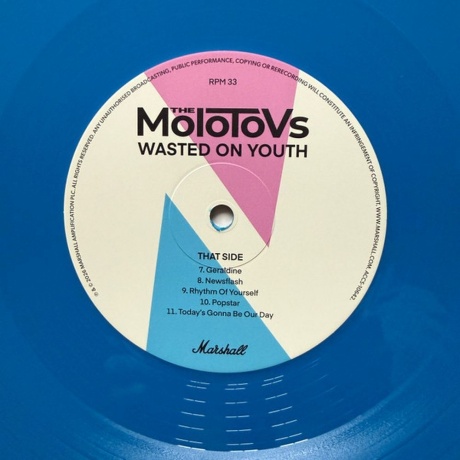Molotovs - Wasted On Youth (Blue) (5030463653272) виниловая пластинка - фото 5