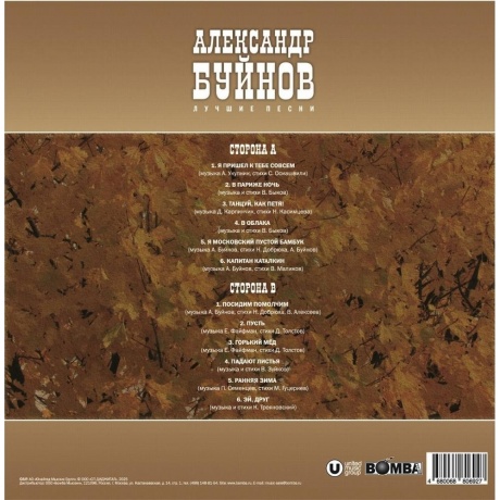 Александр Буйнов - Лучшие Песни  (4680068806927) - фото 2